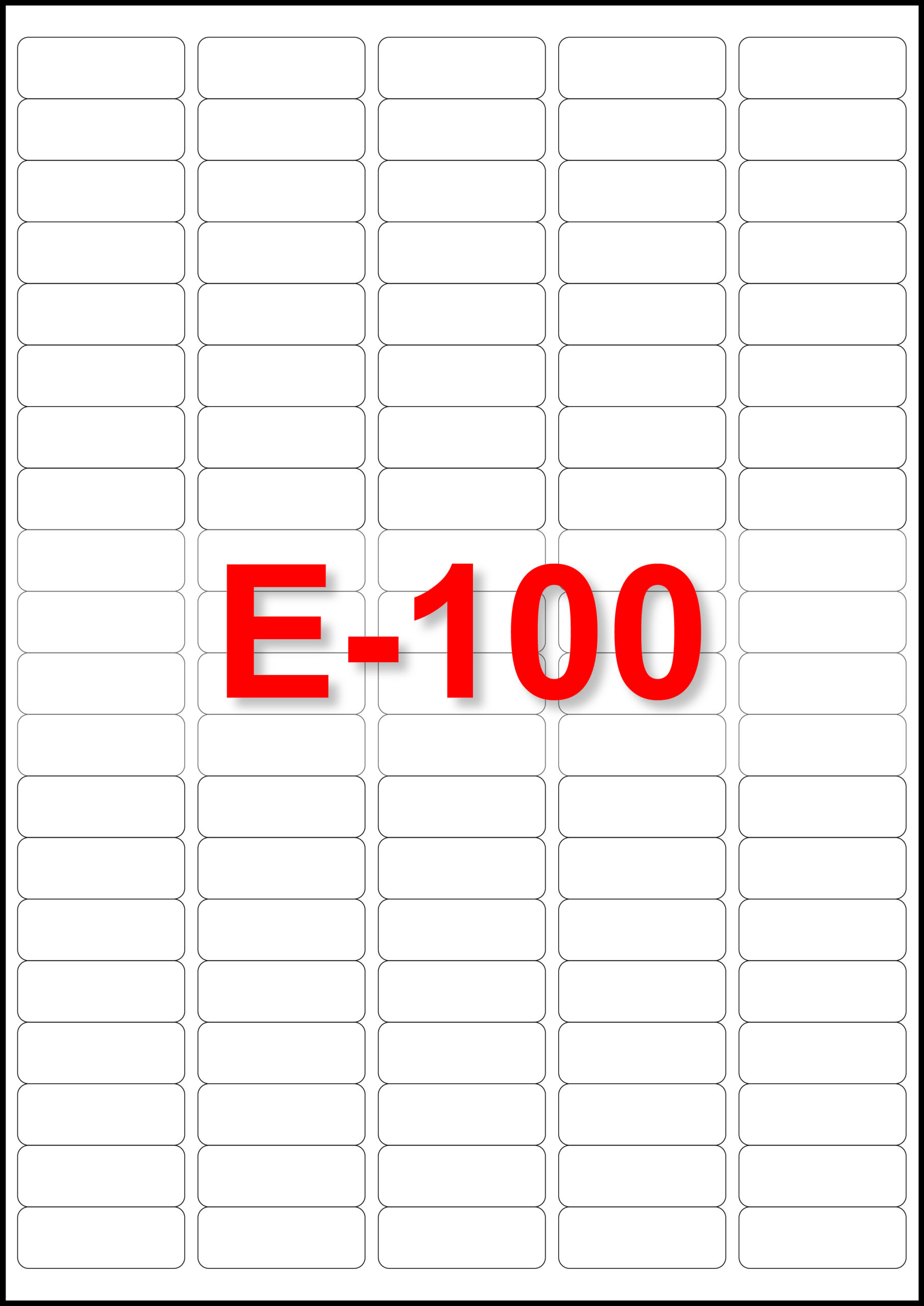 E-100